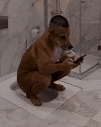 6 7 Toilet GIF