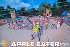 afromoonworld eindhoven afrobeats afrodance apple eater GIF