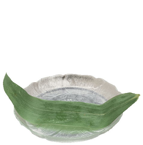 spring roll bar Sticker by Major Food Group