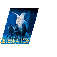 ahoyrotterdam celebration rotterdam ahoy horse show Sticker