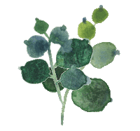 Flower Grow Sticker