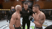 God Of War Sport GIF by UFC