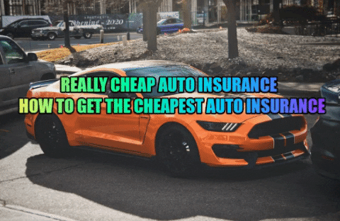 bdolbna giphygifmaker auto insurance auto insurance - how to get the cheapest auto insurance really cheap auto insurance - how to get the cheapest auto insurance GIF
