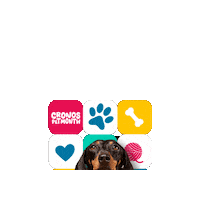 Pet Month Sticker by Cronos Logistics