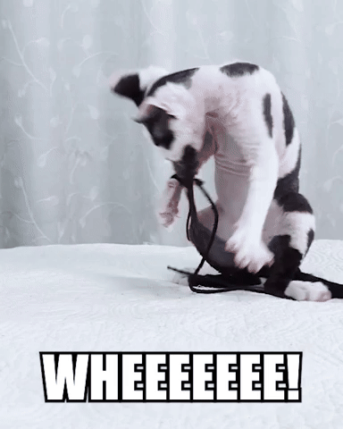 Wheeeeee!