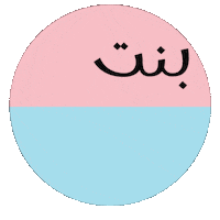 Gender Reveal Sticker