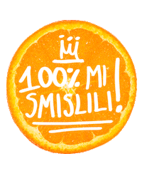 ReMixKnjaz 100 remix sok gaser Sticker