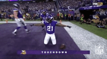 Minnesota Vikings Football GIF by NFL