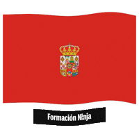 Ciudad Real Flag Sticker by Formación Ninja