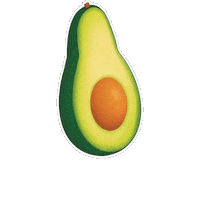 Illustration Avocado Sticker by IFPA