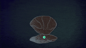 octopus pearl GIF by quasarwei