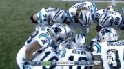 carolina panthers football GIF by NFL