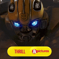 ANDPictures  GIF
