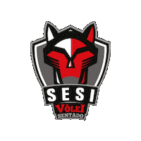 Paralímpico Sticker by Sesi São Paulo