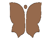 Vivier Butterfly Sticker by Vivier