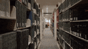 Washington State University Gocougs GIF by WSU Pullman