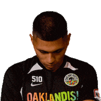 The Town Football Sticker by Oakland Roots SC