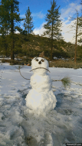 snow los GIF
