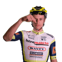 Check This Cycling Team Sticker by Intermarché-Wanty-Gobert Matériaux
