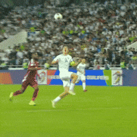 Roma Qatar GIF