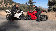 Motorcycle Speed GIF by Gotham Ducati Desmo Owners Club