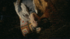 Mother GIF by Charlie Puth