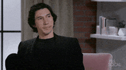 Adam Driver Yes GIF by PBS SoCal