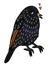 Star Bird Sticker