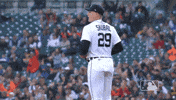 Major League Baseball Reaction GIF by Detroit Tigers