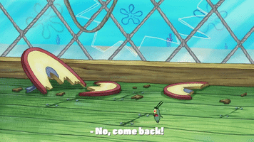 season 9 the fish bowl GIF by SpongeBob SquarePants