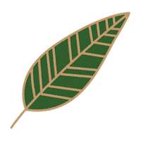 Leaves Leaf Sticker by DivanaThailand