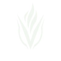 vigorlabs logo vigor labs vigor labs logo Sticker