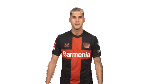 Bayer 04 Love Sticker by Bundesliga