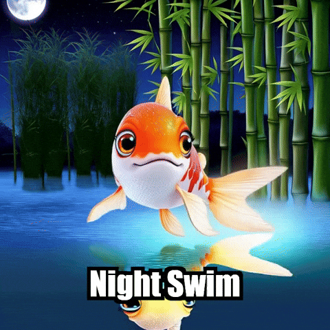 Koi Fish Night Swim GIF by TheConfishius