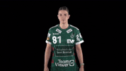 Hbf GIF by Handball Bundesliga Frauen