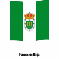 Castilla Y Leon Flag GIF by Formación Ninja