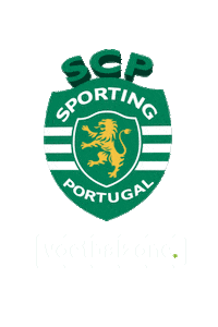 Europe Sporting Sticker by Voetbalzone
