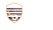 United Soccer League Sticker by USL
