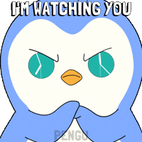 Looking All Eyes On You GIF by Pudgy Penguins