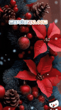 Amigos Recibe GIF by Murcianys LLC