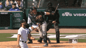 Regular Season Sport GIF by MLB