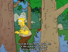 Season 1 GIF by The Simpsons