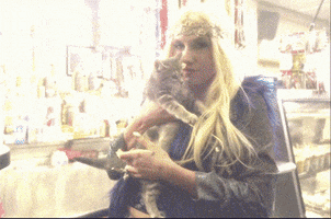 ke$ha c'mon GIF by Vevo
