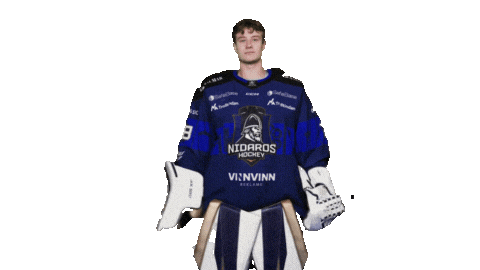 Happy Ice Hockey Sticker by Nidaros Hockey