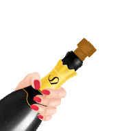 Party Celebration Sticker by Kalli's Beauty Center