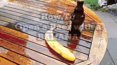 ngb GIF