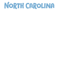 Election 2020 Charlotte Sticker by Creative Courage