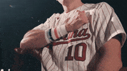 South Carolina Baseball GIF by gamecocksonline