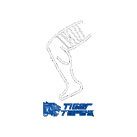Tigertapes Sticker by Physique Management