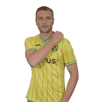 Premier League Soccer Sticker by Norwich City Football Club